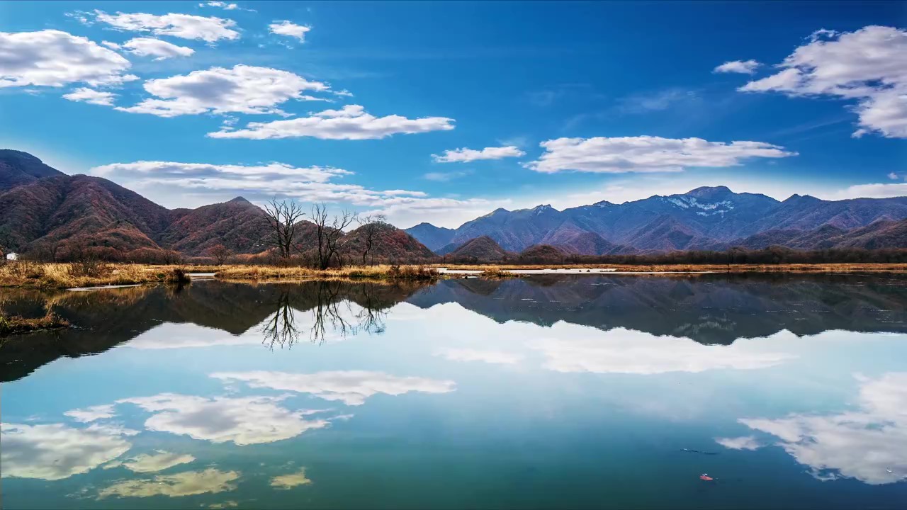神農(nóng)架 神農(nóng)架